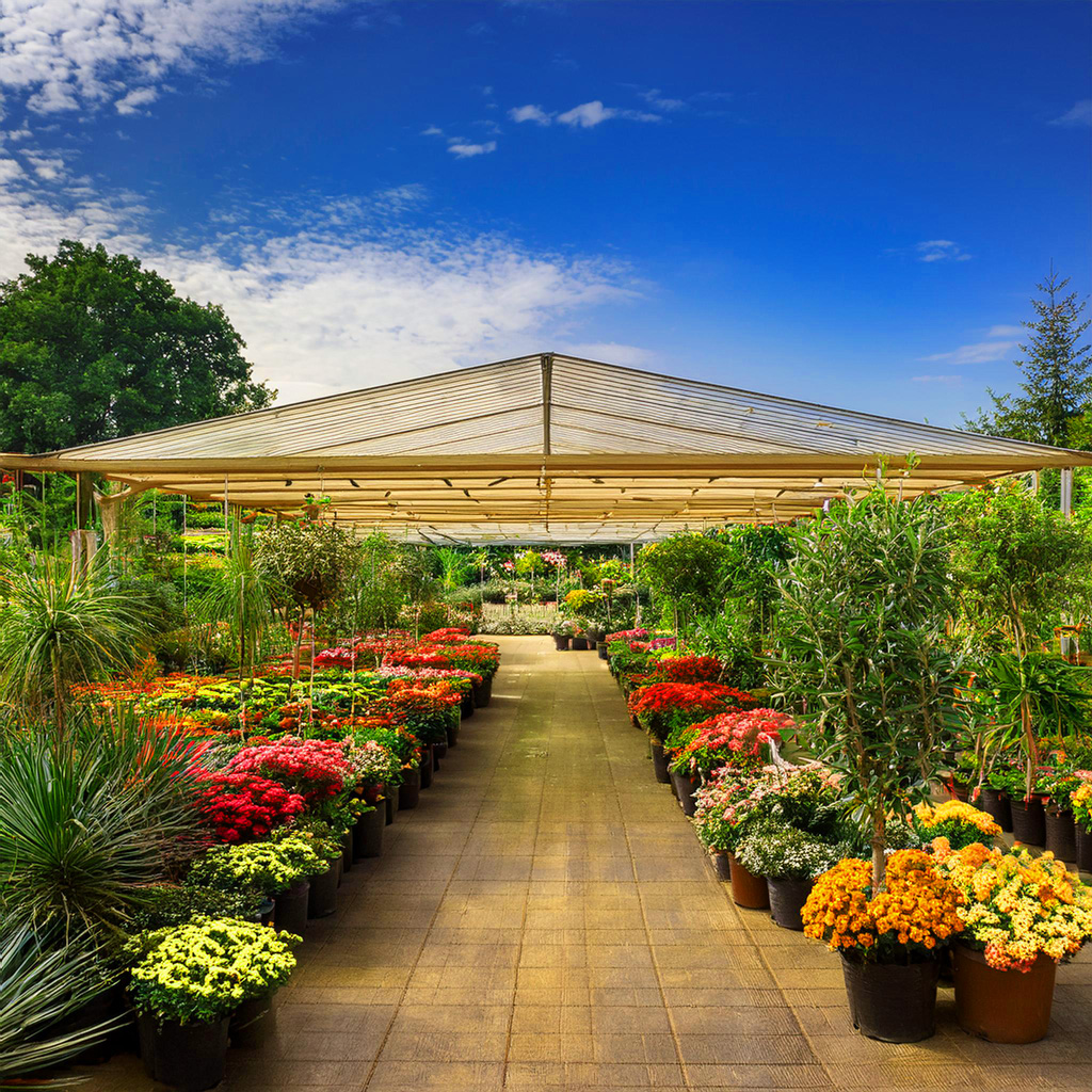 Gärtnerei mit Pflanzen und Blumen