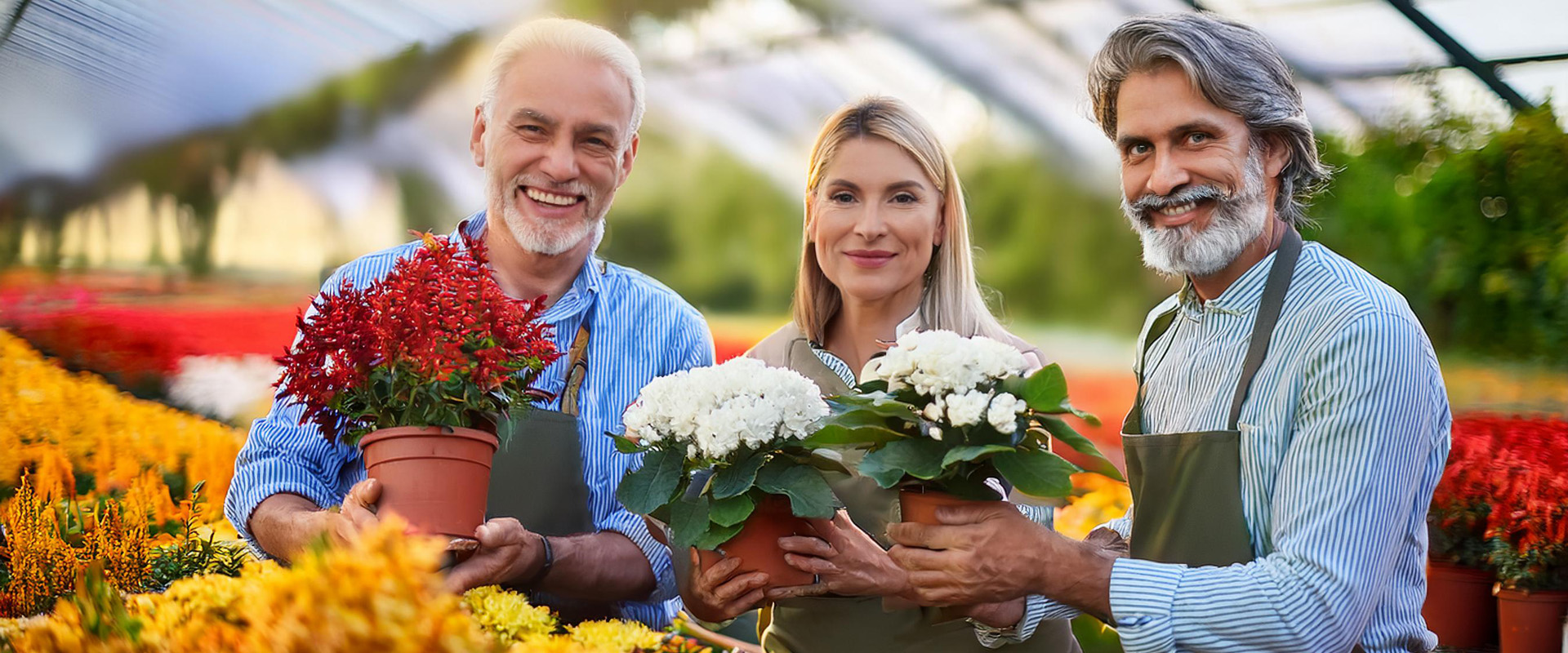 Drei Personen im Pflanzengroßhandel