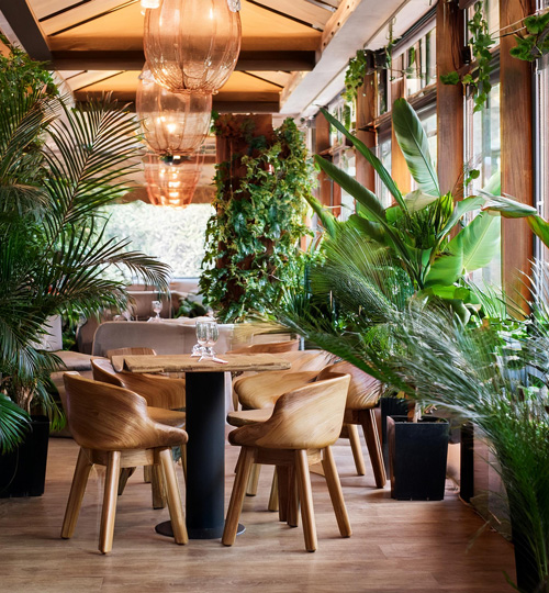 Restaurant mit großen Pflanzentöpfen