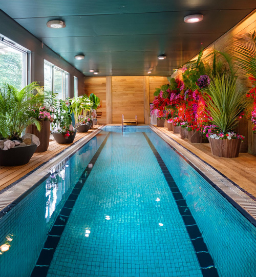 Schwimmbad mit großen Pflanzentopfen grün und farbig