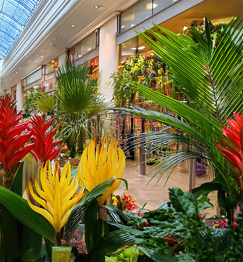 Shoppingmall mit Pflanzen grün und farbig