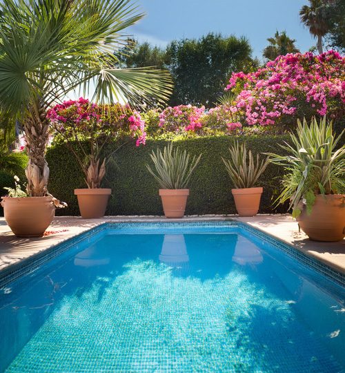 Pool mit Pflanzentöpfen